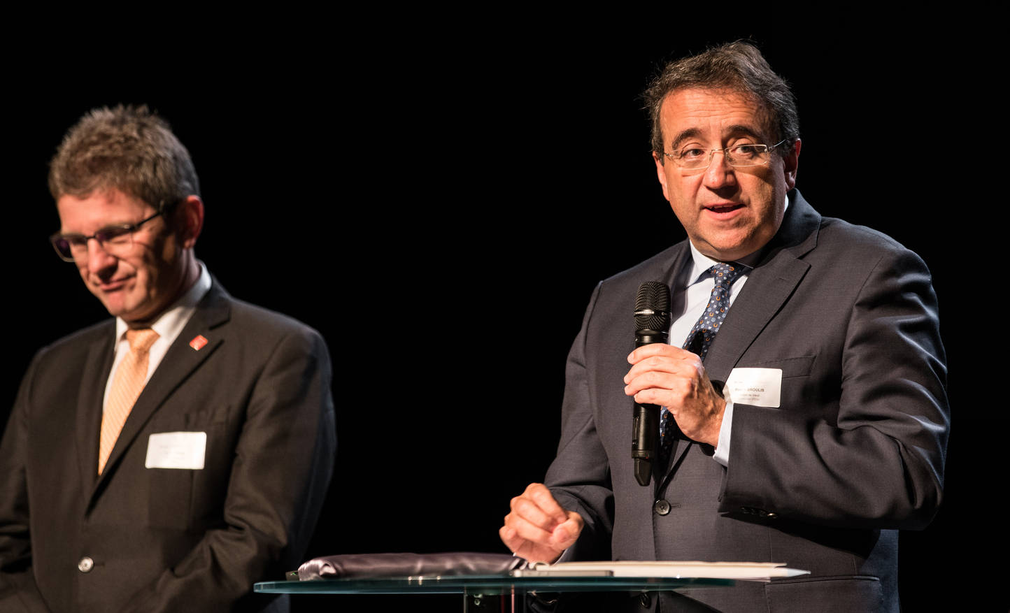 Description de l'image