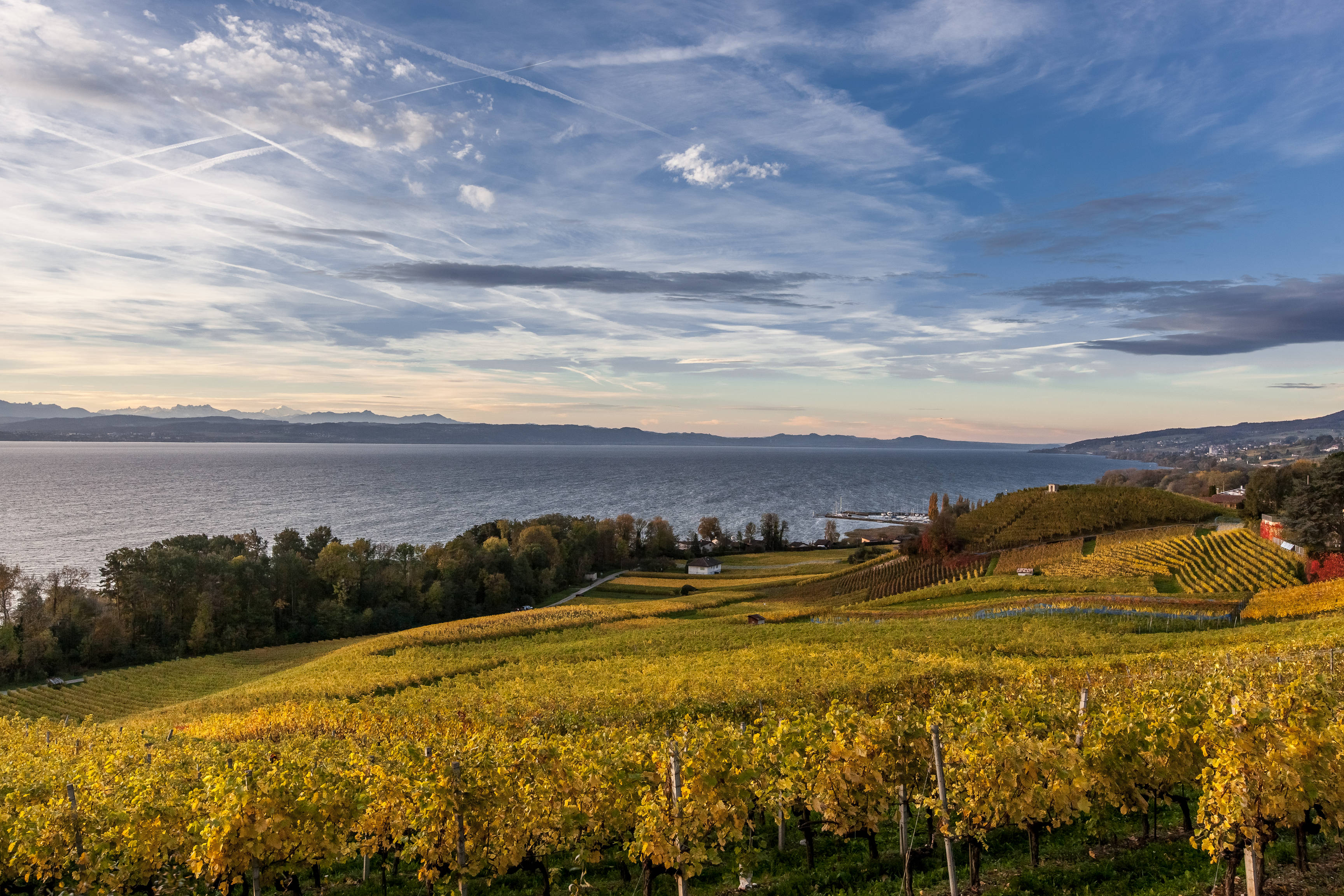 Vue sur les vignes et le lac de Neuchâtel